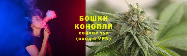 прущая мука Инсар
