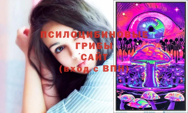 прущая мука Инсар