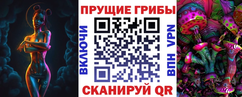 Псилоцибиновые грибы Psilocybe  Купить закладки  Высоковск 